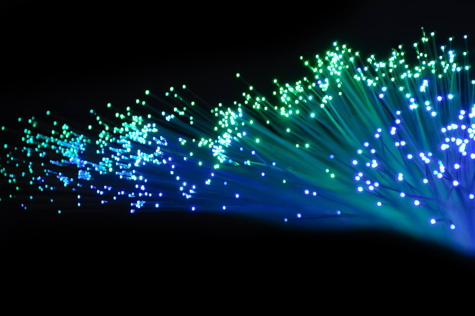 optisk fiber bilde av kabler med lys
